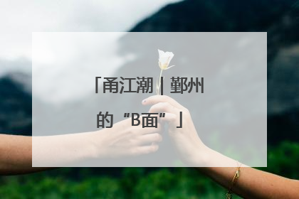 甬江潮｜鄞州的“B面”
