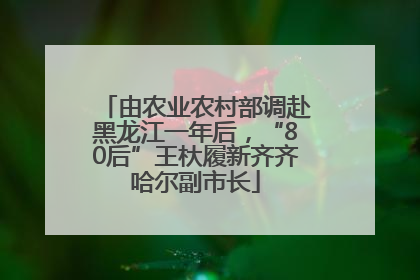 由农业农村部调赴黑龙江一年后，“80后”王杕履新齐齐哈尔副市长