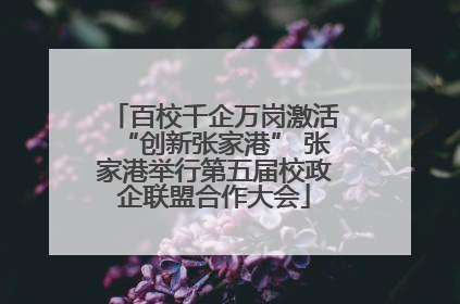 百校千企万岗激活“创新张家港” 张家港举行第五届校政企联盟合作大会