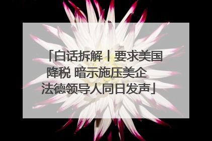 白话拆解丨要求美国降税 暗示施压美企 法德领导人同日发声