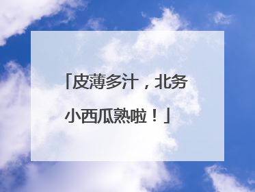 皮薄多汁，北务小西瓜熟啦！