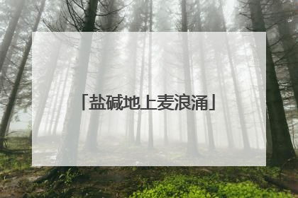 盐碱地上麦浪涌