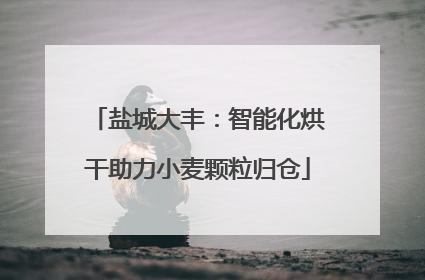 盐城大丰：智能化烘干助力小麦颗粒归仓