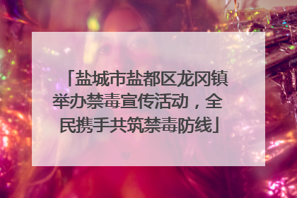 盐城市盐都区龙冈镇举办禁毒宣传活动，全民携手共筑禁毒防线