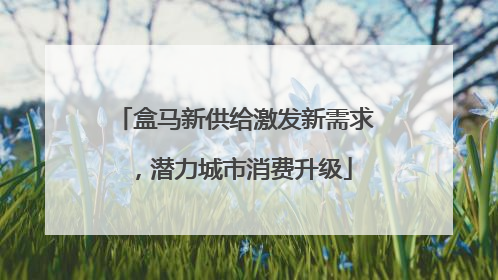 盒马新供给激发新需求，潜力城市消费升级