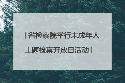 省检察院举行未成年人主题检察开放日活动
