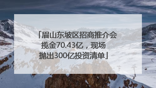 眉山东坡区招商推介会揽金70.43亿，现场抛出300亿投资清单