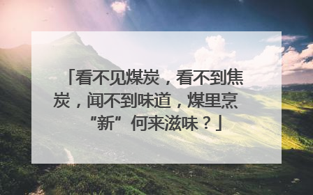 看不见煤炭，看不到焦炭，闻不到味道，煤里烹“新”何来滋味？