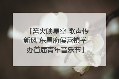 篝火映星空 歌声传新风 东昌府侯营镇举办首届青年音乐节