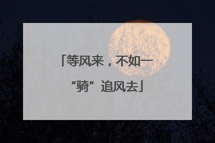 等风来，不如一“骑”追风去