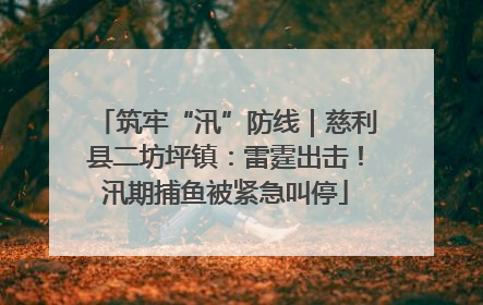 筑牢“汛”防线｜慈利县二坊坪镇：雷霆出击！汛期捕鱼被紧急叫停
