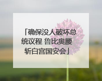 确保没人破坏总统议程 鲁比奥腰斩白宫国安会