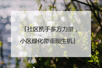 社区携手多方力量，小区绿化带重现生机