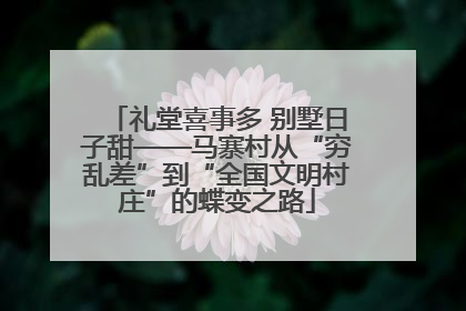 礼堂喜事多 别墅日子甜——马寨村从“穷乱差”到“全国文明村庄”的蝶变之路