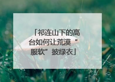 祁连山下的高台如何让荒漠“服软”披绿衣