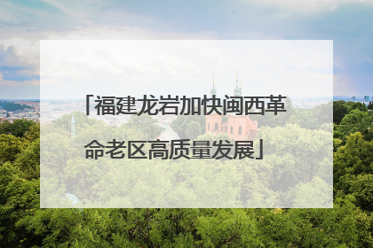 福建龙岩加快闽西革命老区高质量发展