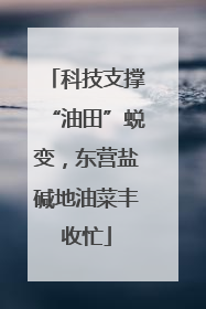 科技支撑“油田”蜕变，东营盐碱地油菜丰收忙