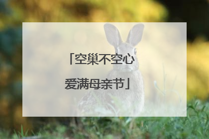 空巢不空心 爱满母亲节
