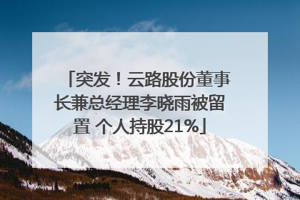 突发！云路股份董事长兼总经理李晓雨被留置 个人持股21%