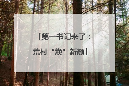 第一书记来了：荒村“焕”新颜