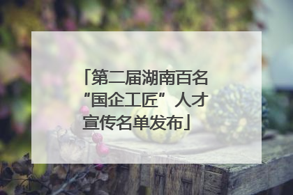 第二届湖南百名“国企工匠”人才宣传名单发布