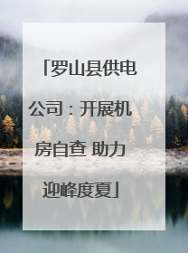 罗山县供电公司：开展机房自查 助力迎峰度夏