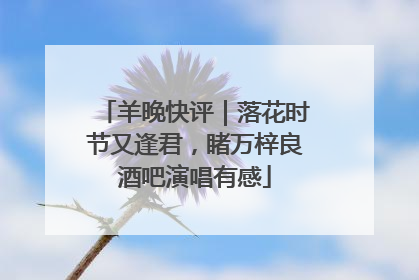 羊晚快评｜落花时节又逢君，睹万梓良酒吧演唱有感