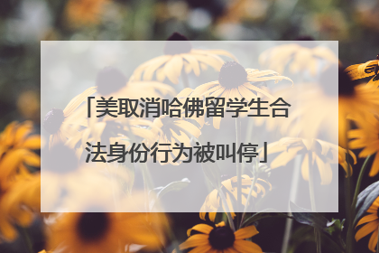美取消哈佛留学生合法身份行为被叫停