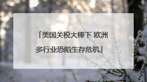 美国关税大棒下 欧洲多行业恐陷生存危机