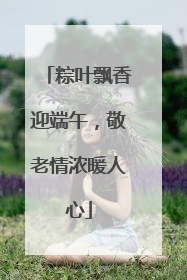 粽叶飘香迎端午，敬老情浓暖人心