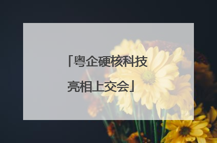 粤企硬核科技亮相上交会