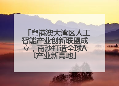 粤港澳大湾区人工智能产业创新联盟成立，南沙打造全球AI产业新高地
