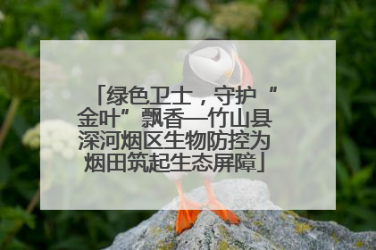 绿色卫士，守护“金叶”飘香—竹山县深河烟区生物防控为烟田筑起生态屏障