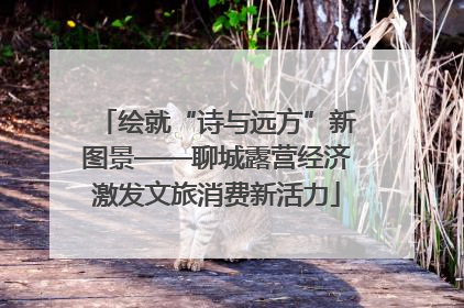 绘就“诗与远方”新图景——聊城露营经济激发文旅消费新活力