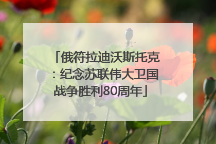 俄符拉迪沃斯托克：纪念苏联伟大卫国战争胜利80周年