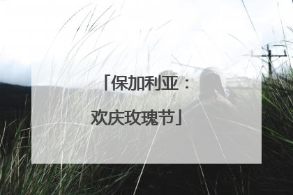 保加利亚：欢庆玫瑰节