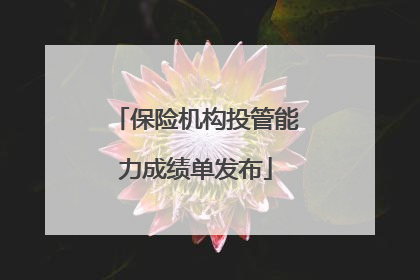 保险机构投管能力成绩单发布