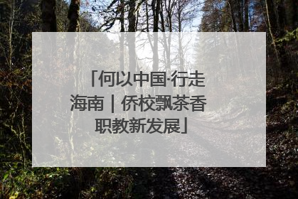 何以中国·行走海南｜侨校飘茶香 职教新发展