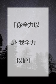 你全力以赴 我全力以护