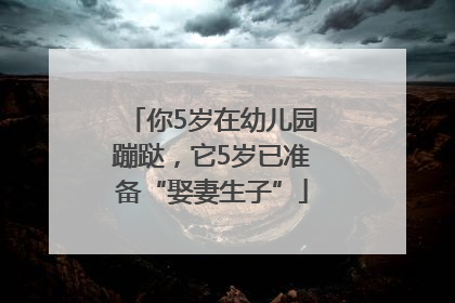 你5岁在幼儿园蹦跶，它5岁已准备“娶妻生子”