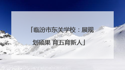 临汾市东关学校：展规划硕果 育五育新人