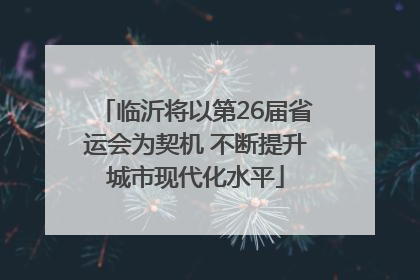 临沂将以第26届省运会为契机 不断提升城市现代化水平