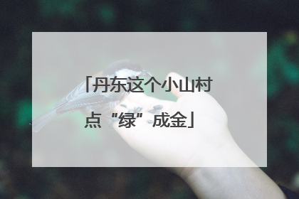 丹东这个小山村点“绿”成金