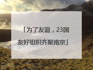 为了友谊，23国友好组织齐聚南京