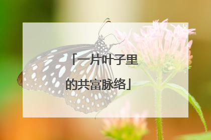 一片叶子里的共富脉络