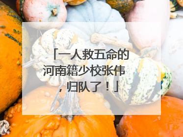 一人救五命的河南籍少校张伟，归队了！