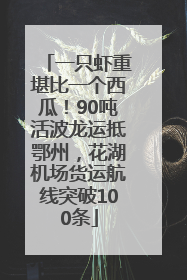 一只虾重堪比一个西瓜！90吨活波龙运抵鄂州，花湖机场货运航线突破100条
