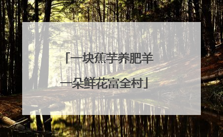 一块蕉芋养肥羊 一朵鲜花富全村