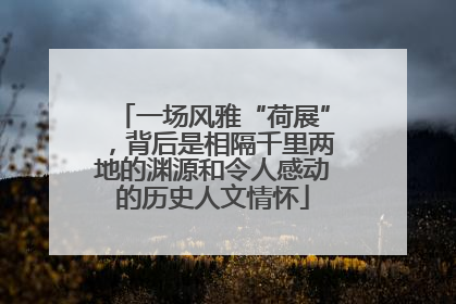 一场风雅“荷展”，背后是相隔千里两地的渊源和令人感动的历史人文情怀