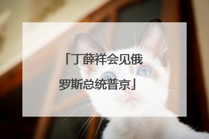 丁薛祥会见俄罗斯总统普京